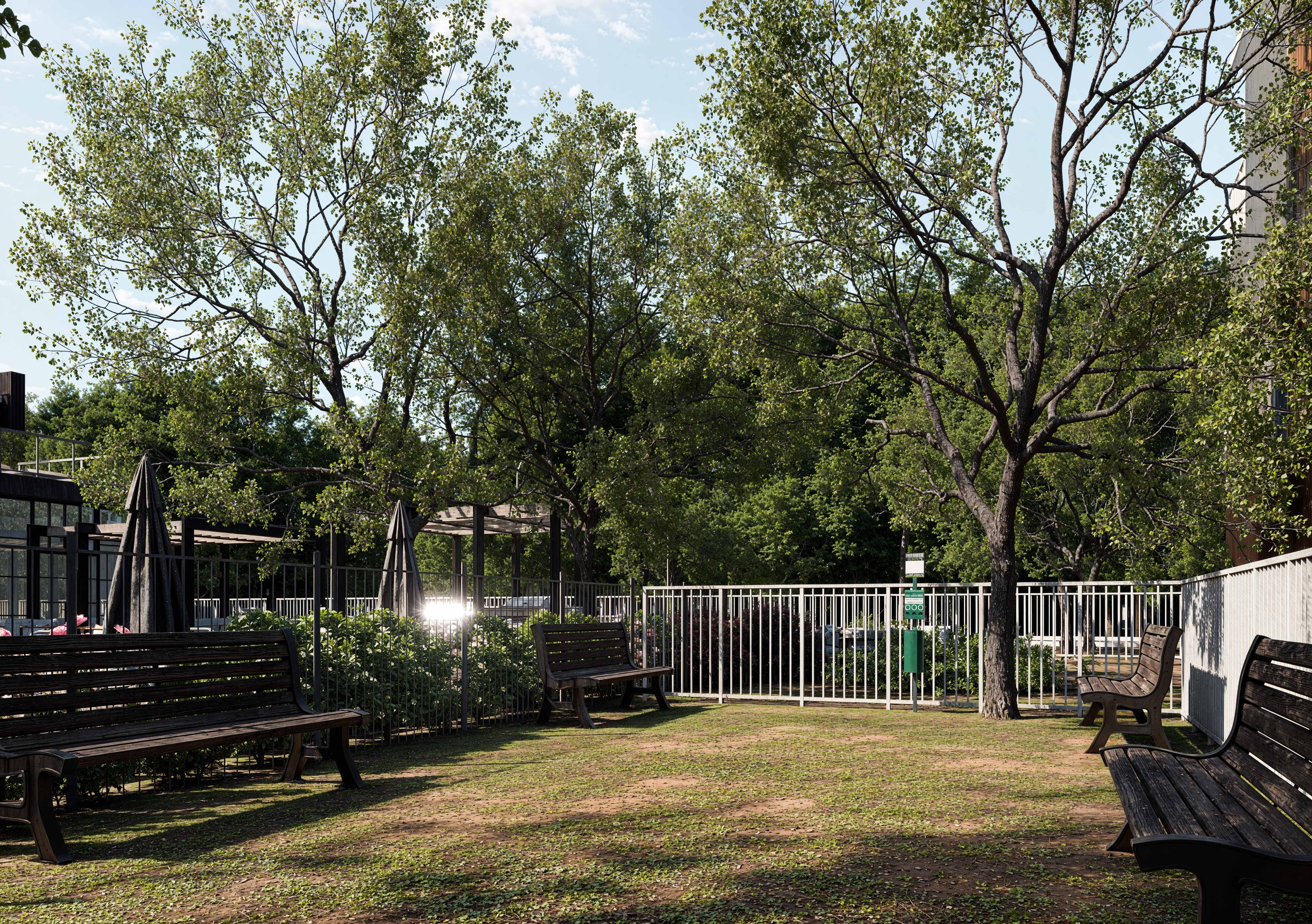Dog Park